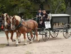 Two horses are pulling a carriage with people in it.