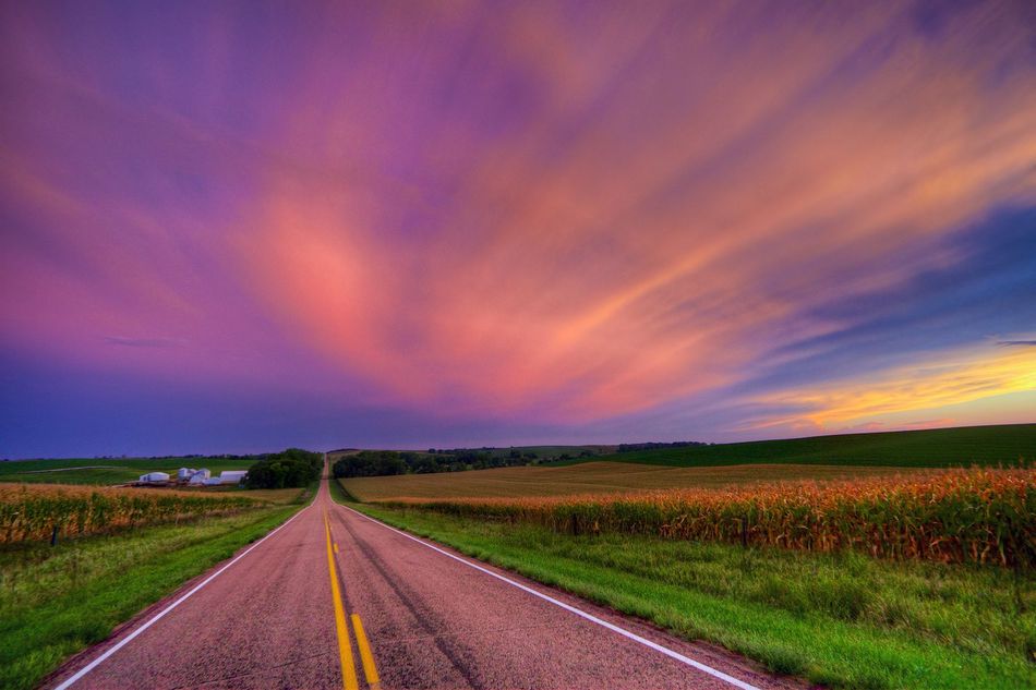 A road going through a field with a sunset in the background.