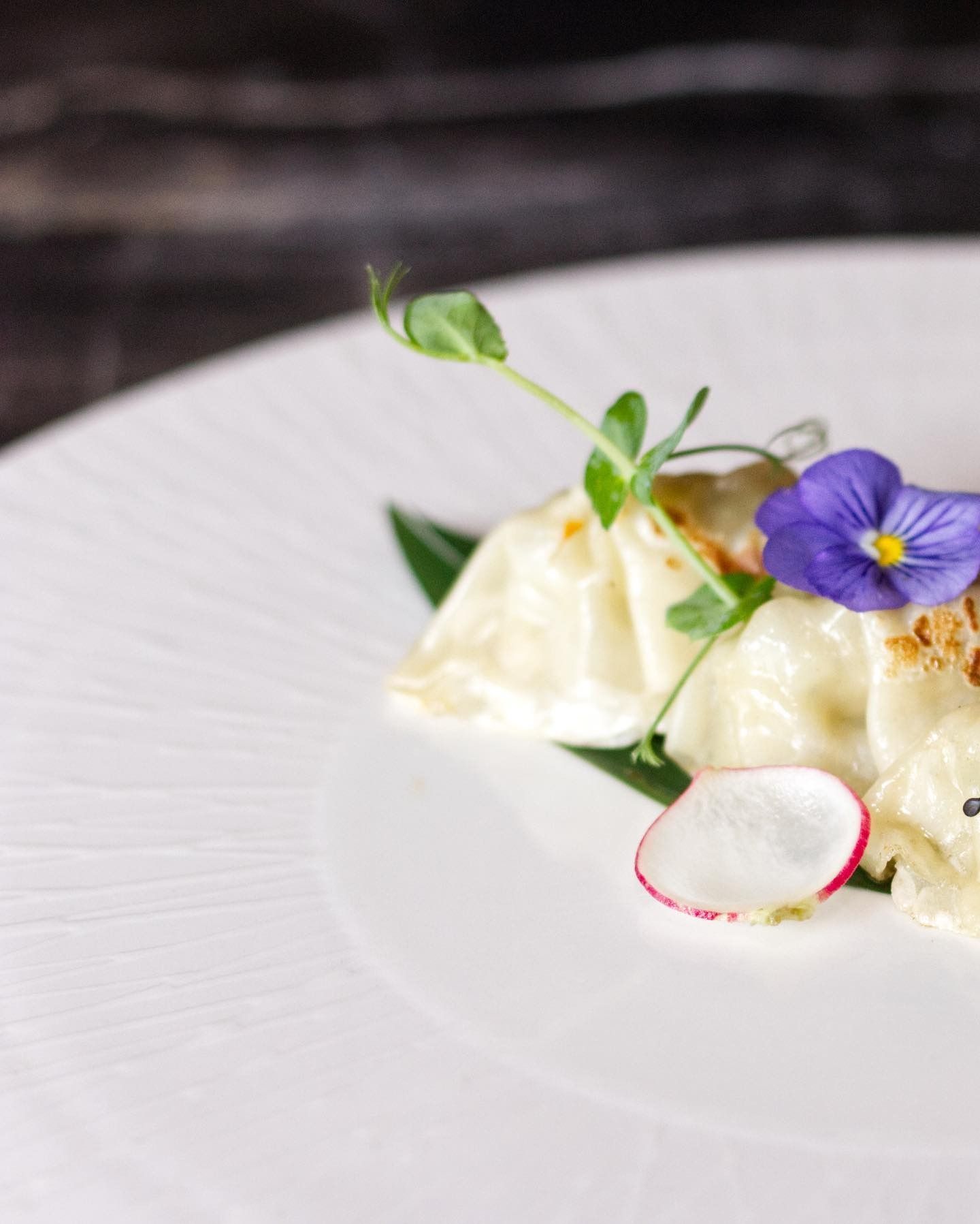 Un raviolo gourmet guarnito con un fiore viola, una sottile fetta di ravanello e un germoglio di pisello, servito su un piatto bianco dalla superficie ruvida.