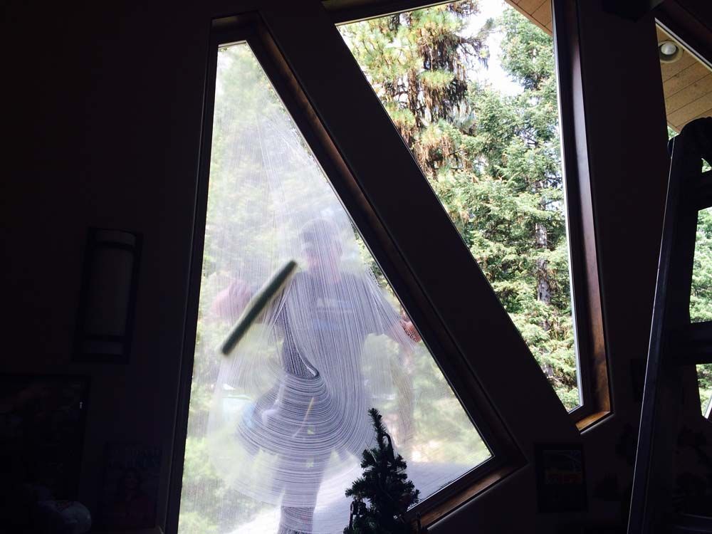 Person using a squeegee to clean a large window overlooking a forest.