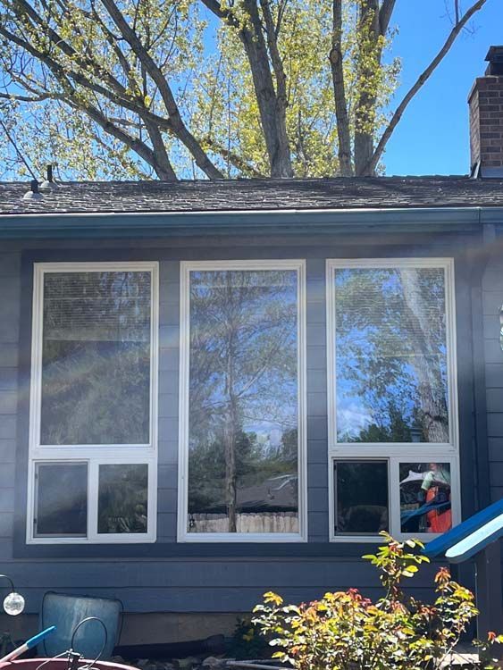 Three large windows on a blue house reflect trees and sky. White frames, gray roof.
