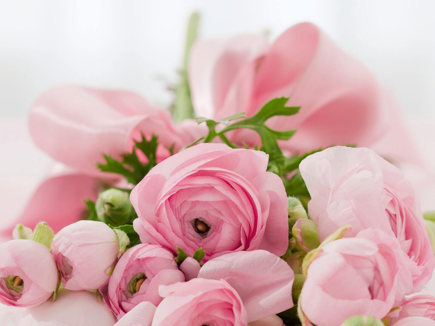 Floristry arrangements, Bridal Services, Weddings, BouquetsInterior Plant Design,