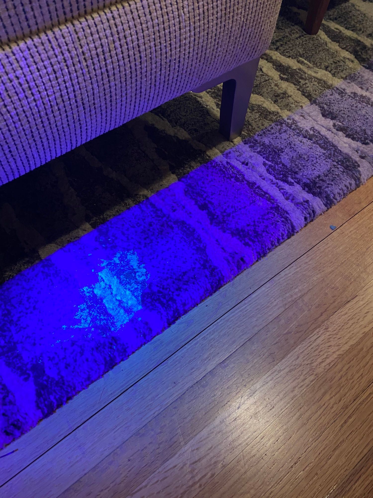 Spencers Floor Care | Carpet, Tile and Upholstery Cleaning Services