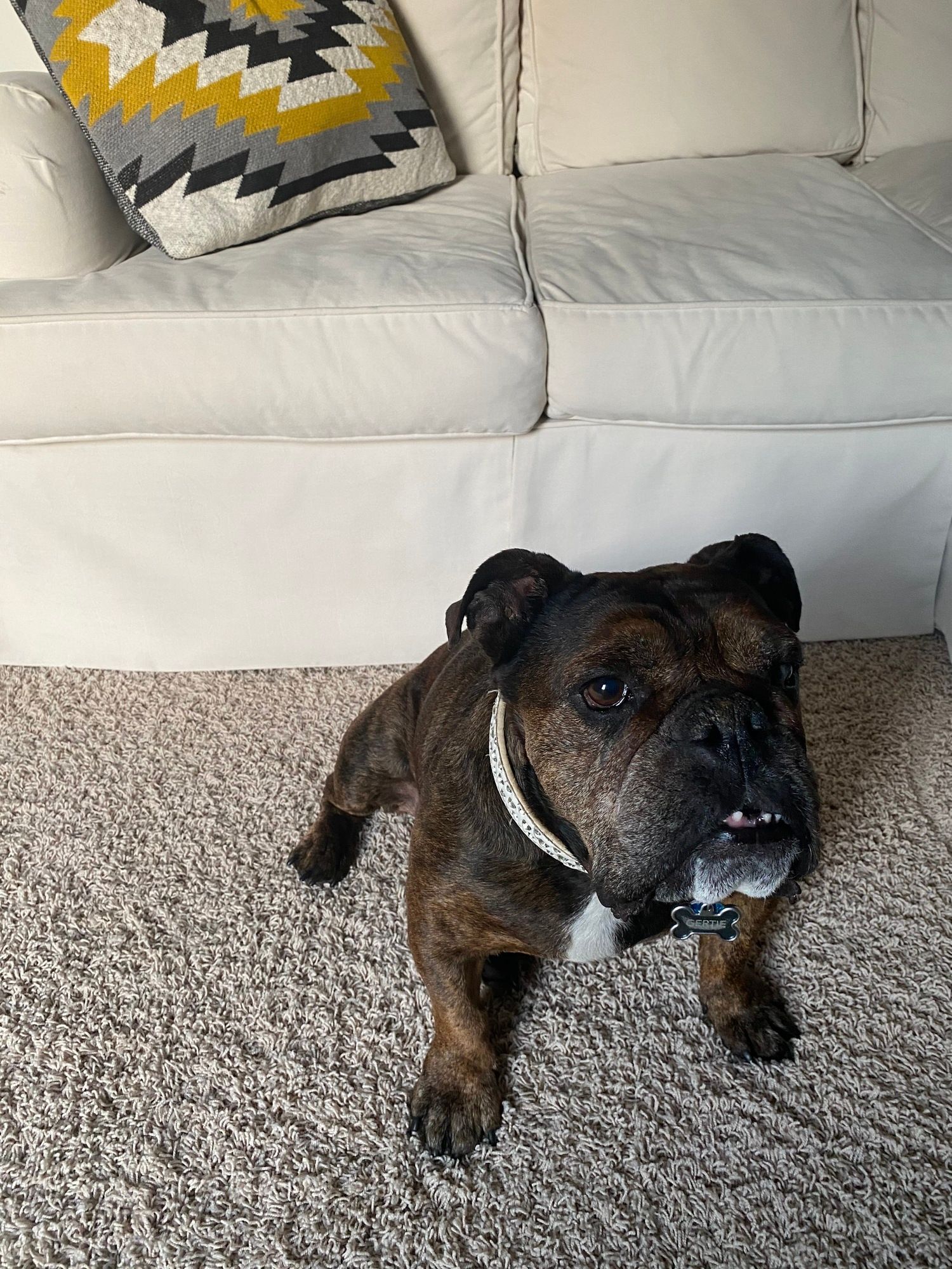 Spencers Floor Care | Carpet, Tile and Upholstery Cleaning Services