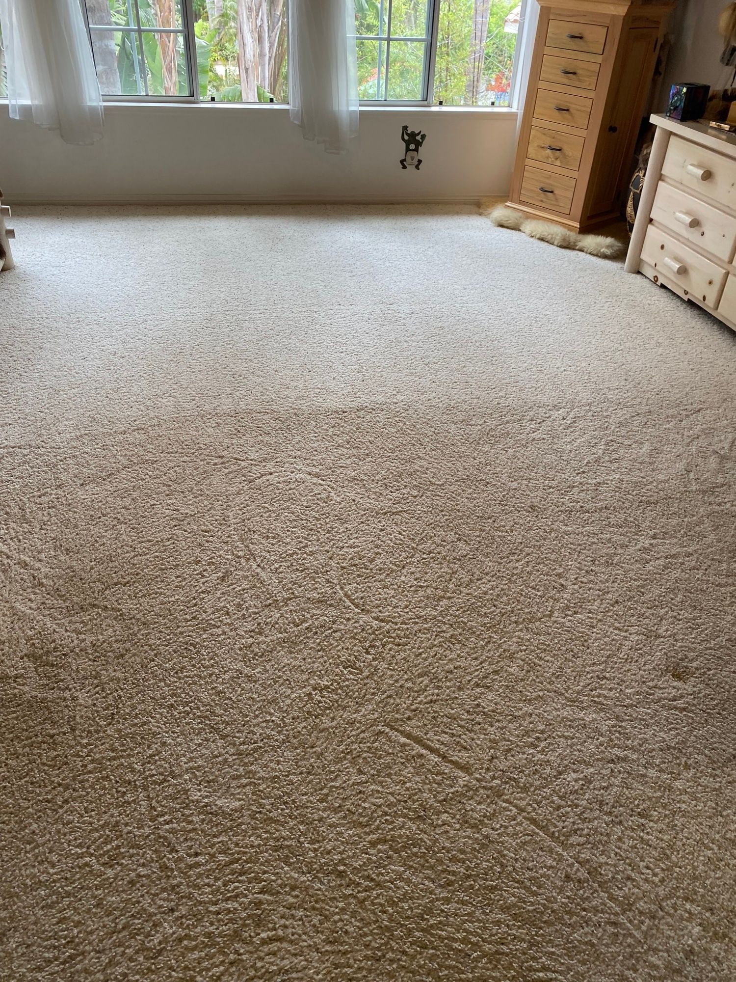 Spencers Floor Care | Carpet, Tile and Upholstery Cleaning Services