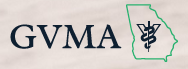 GVMA