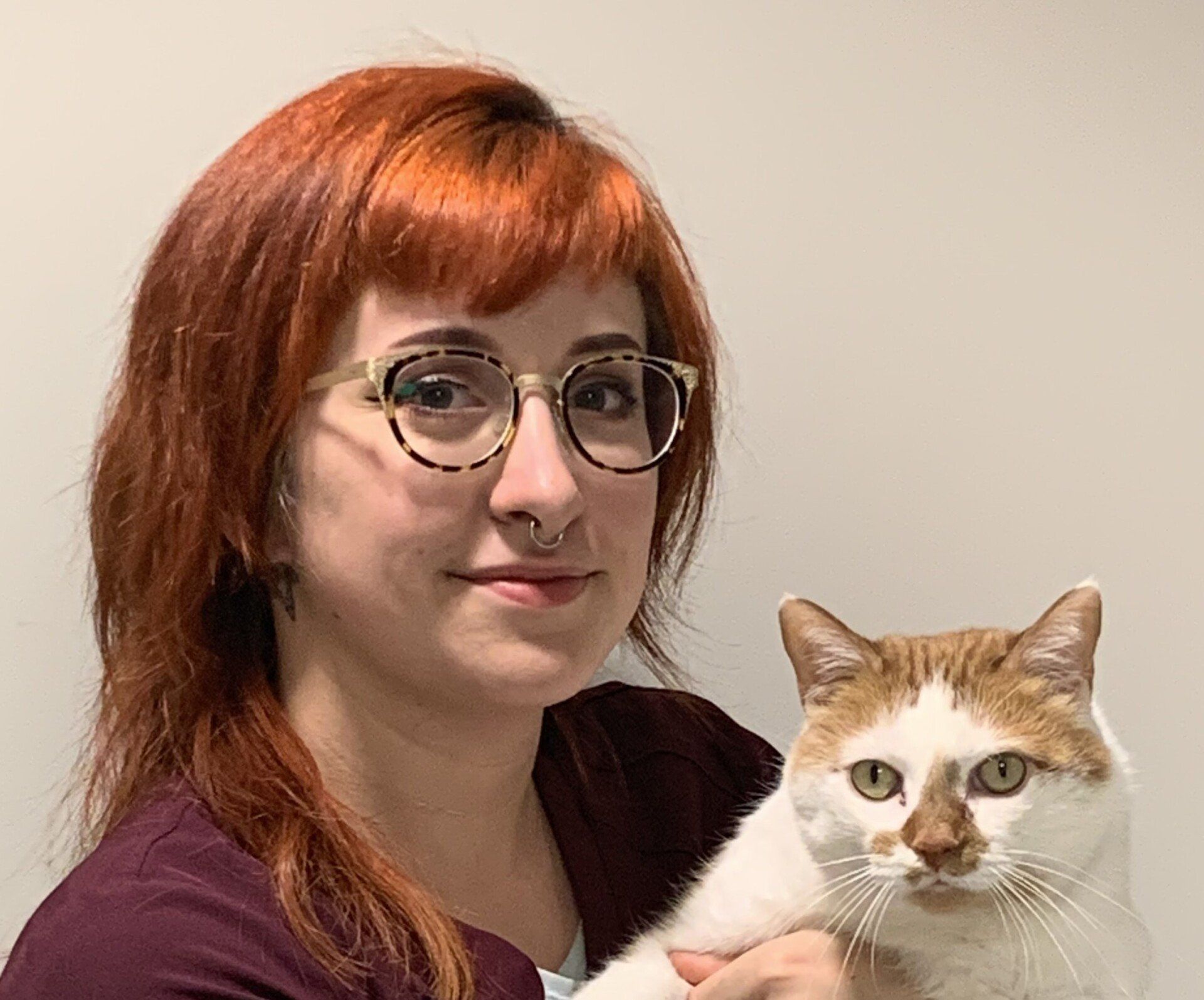 Animal Hospital | Snellville, GA | Brookwood Animal Hospital