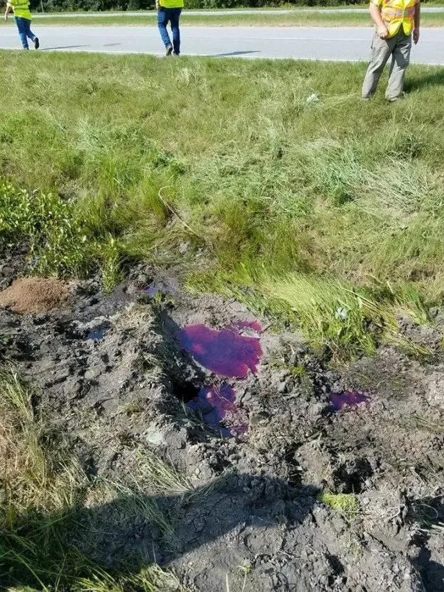 Spilled hazardous chemical — Ashford, AL — Environmental & Hazmat Services Inc.