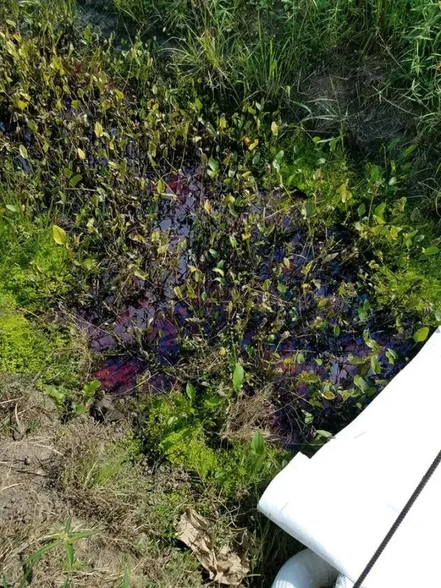 Red chemical spilled on the grass — Ashford, AL — Environmental & Hazmat Services Inc.