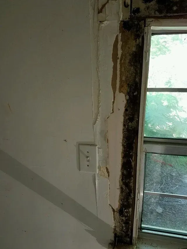 Molds on the side of the window— Ashford, AL — Environmental & Hazmat Services Inc.