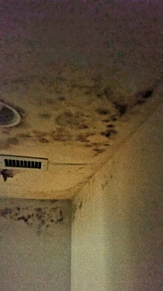 Mold on the ceiling with vent — Ashford, AL — Environmental & Hazmat Services Inc.