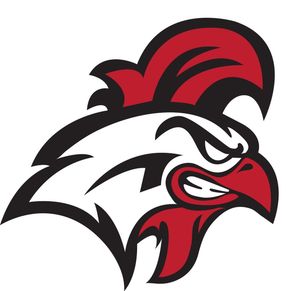 Vineland High School Logo