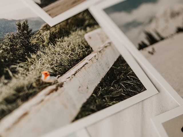 Close up image of printed photographs