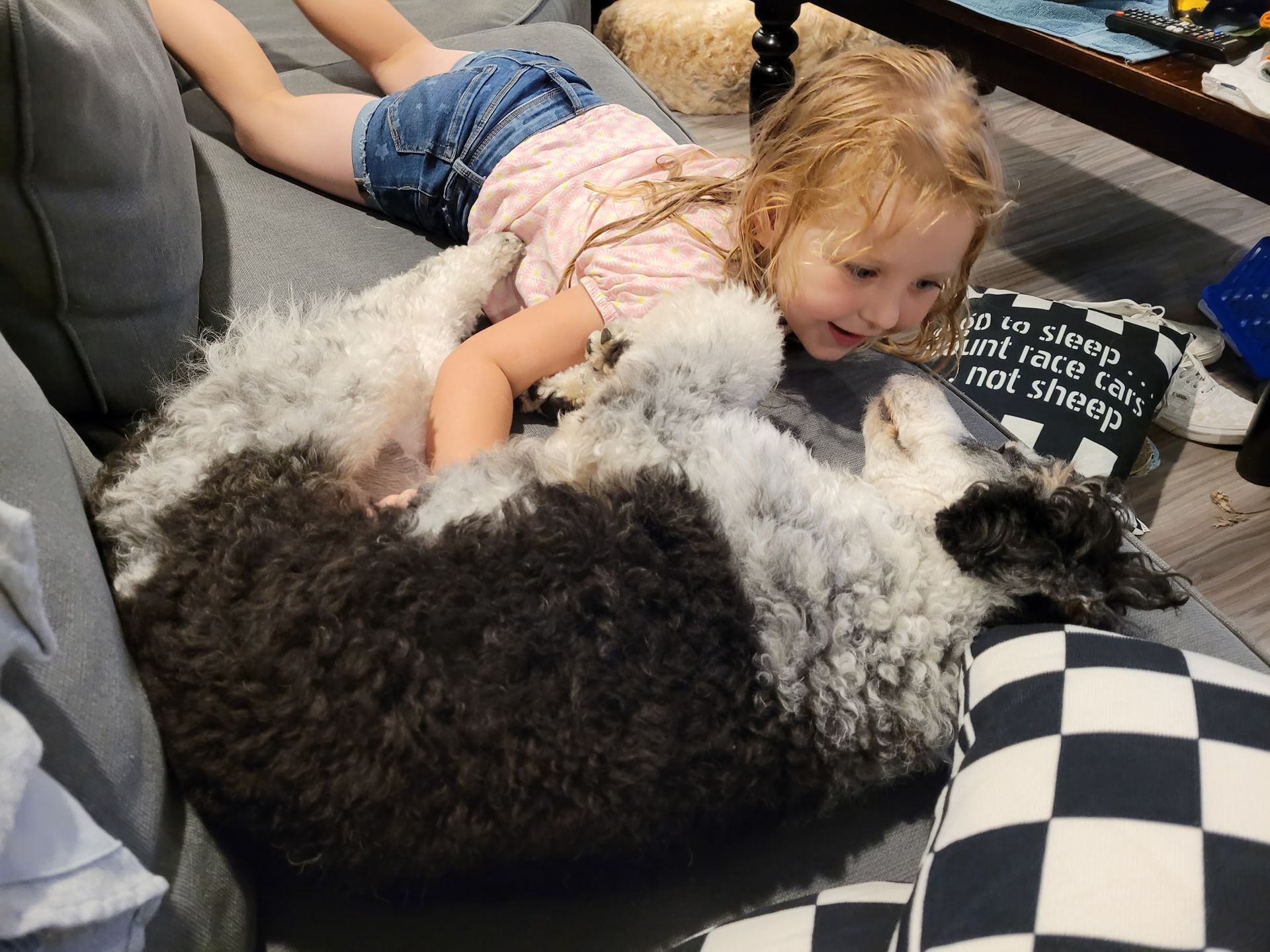 Young child with blonde hair smiling and petting a black and white dog lying on a gray couch.
