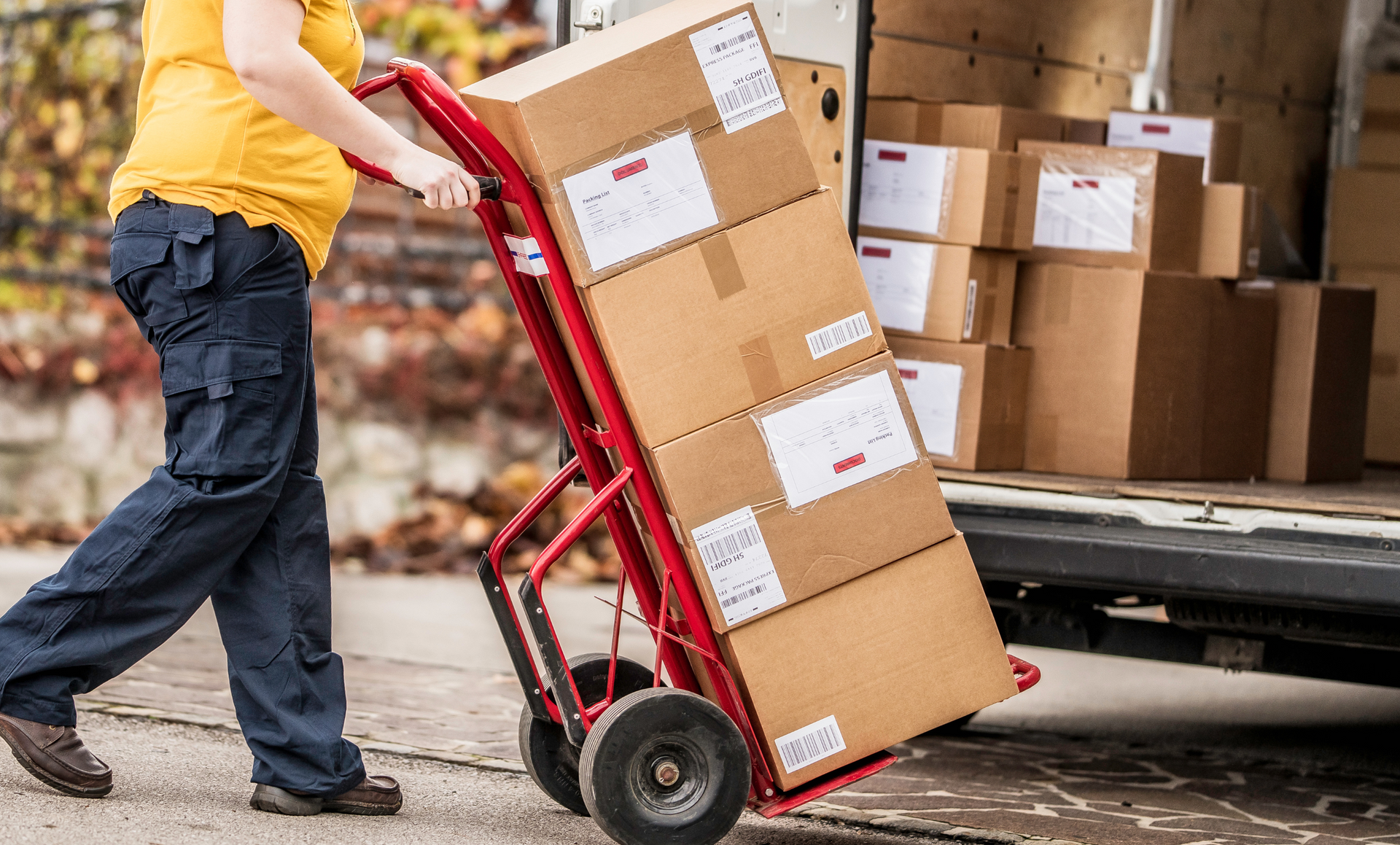 Two movers are carrying boxes out of a van.