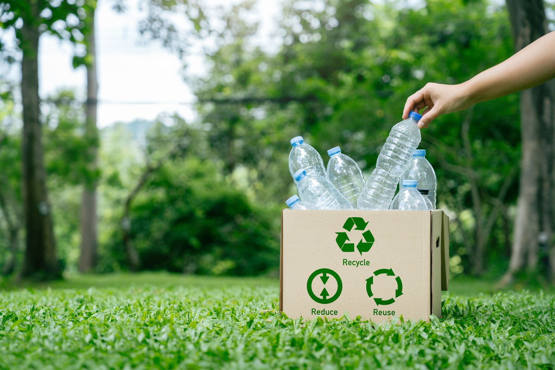 A person is putting plastic bottles into a recycling box.