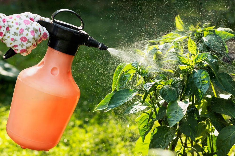 Pesticides containing Xylene being sprayed onto plants