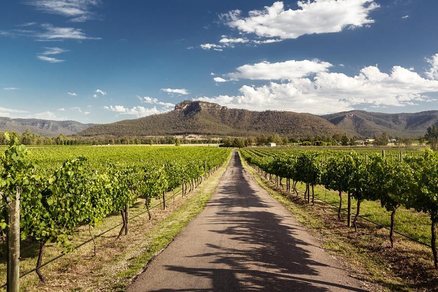 A Road Going Through a Vineyard with Mountains in The Background — Maison Property Management in Hunter Valley, NSW