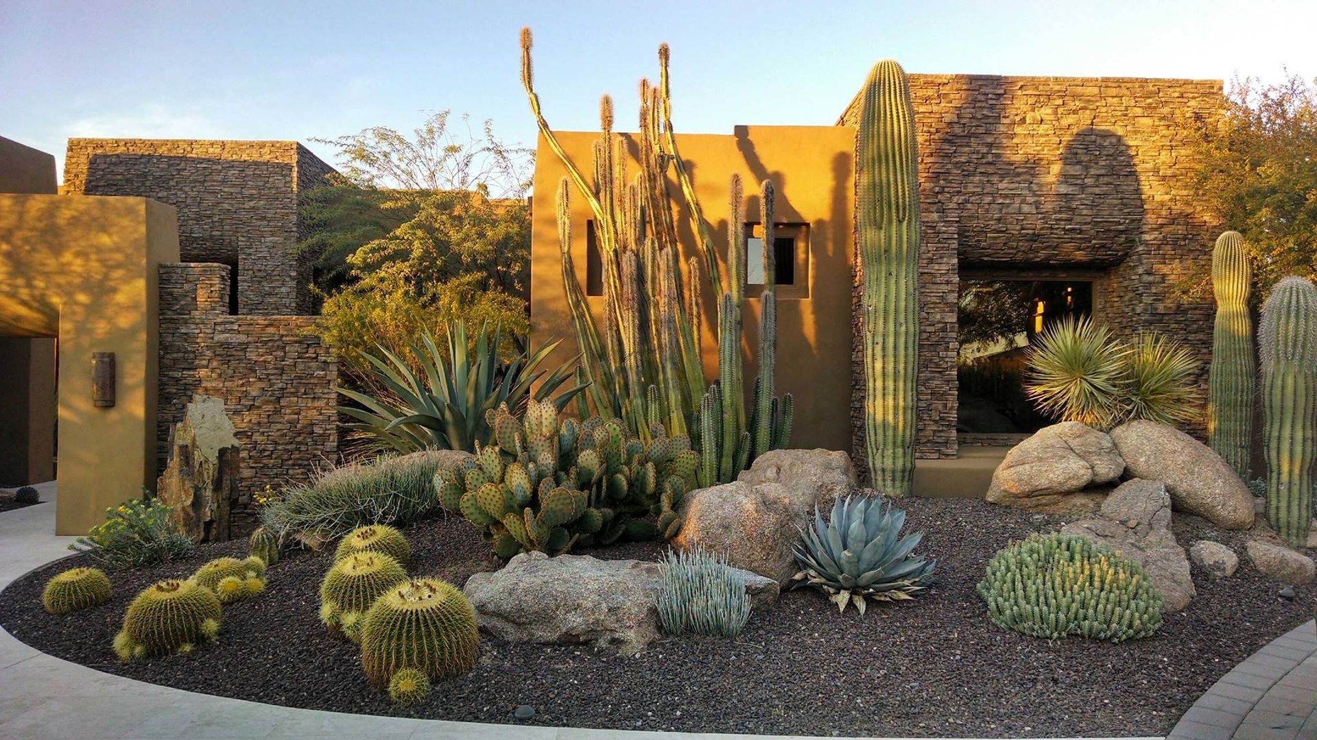 Desert landscape in front of a stone and stucco house featuring cacti and other succulents.