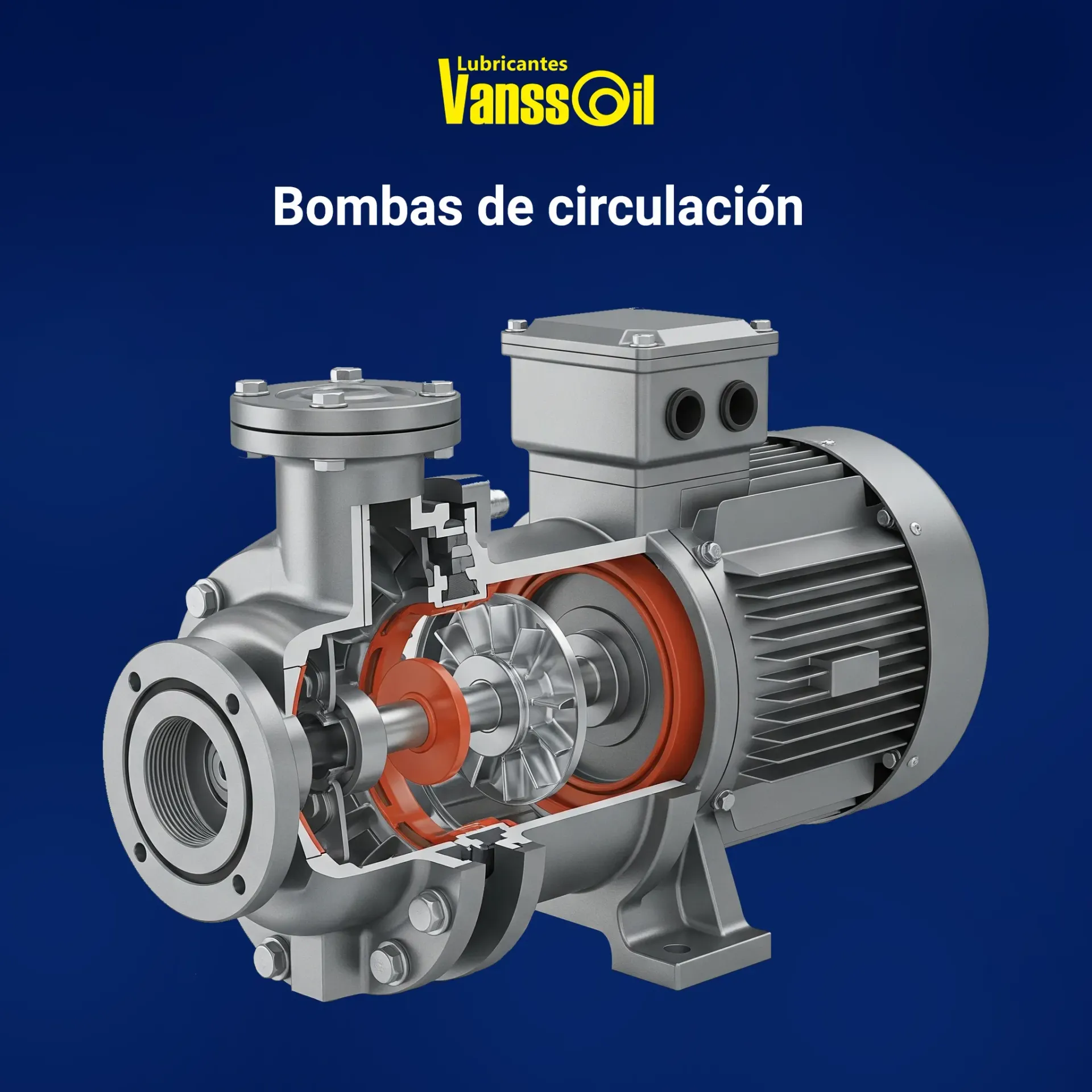 bombas de circulacion sistemas de aceite térmico vanssoil