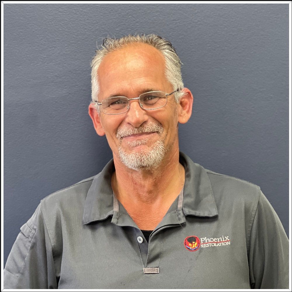 Brian Julian — Lisle, IL — Phoenix Restoration