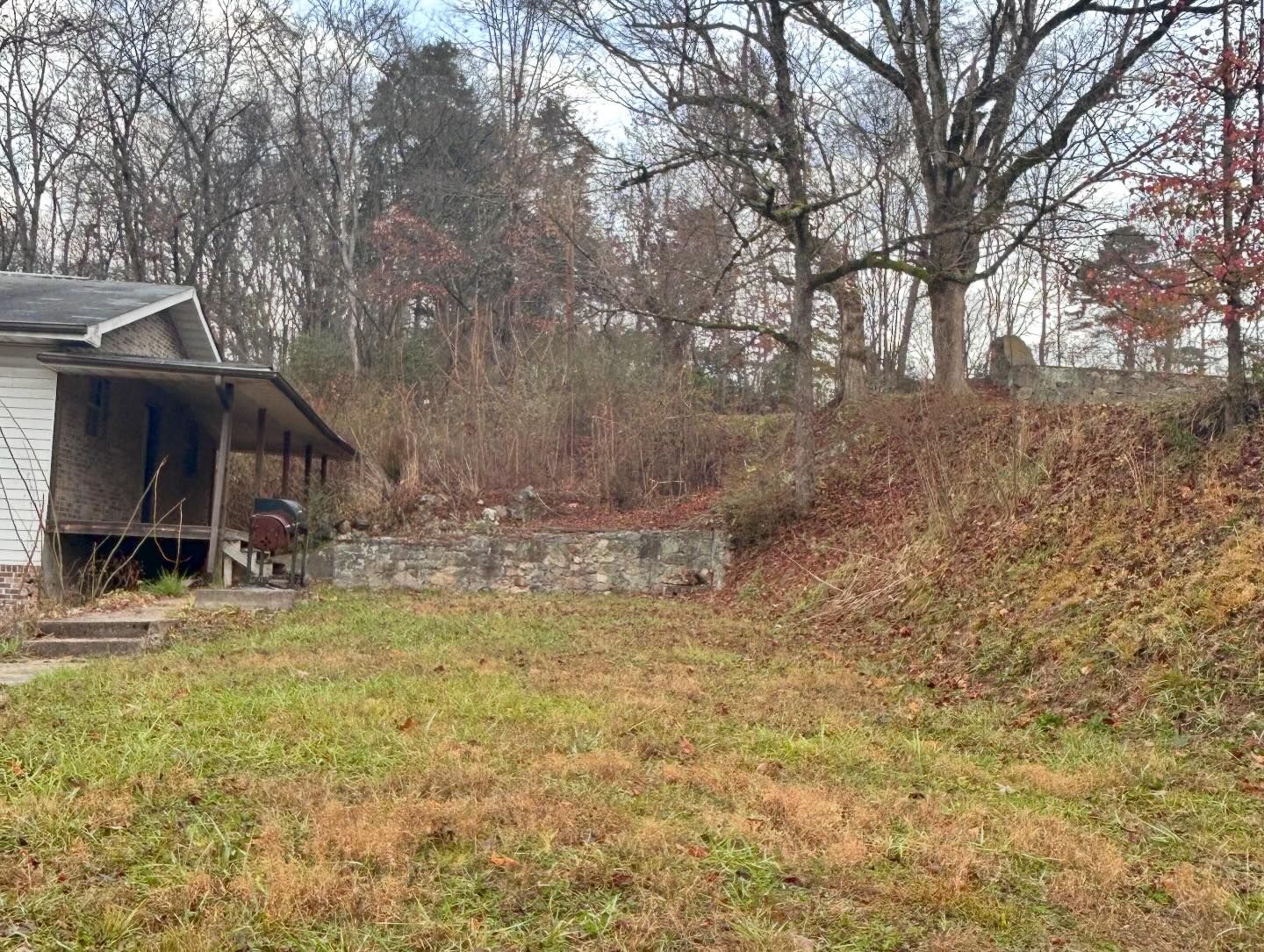 Grassy yard with an abandoned house on the left, overgrown brush, and trees in the background.