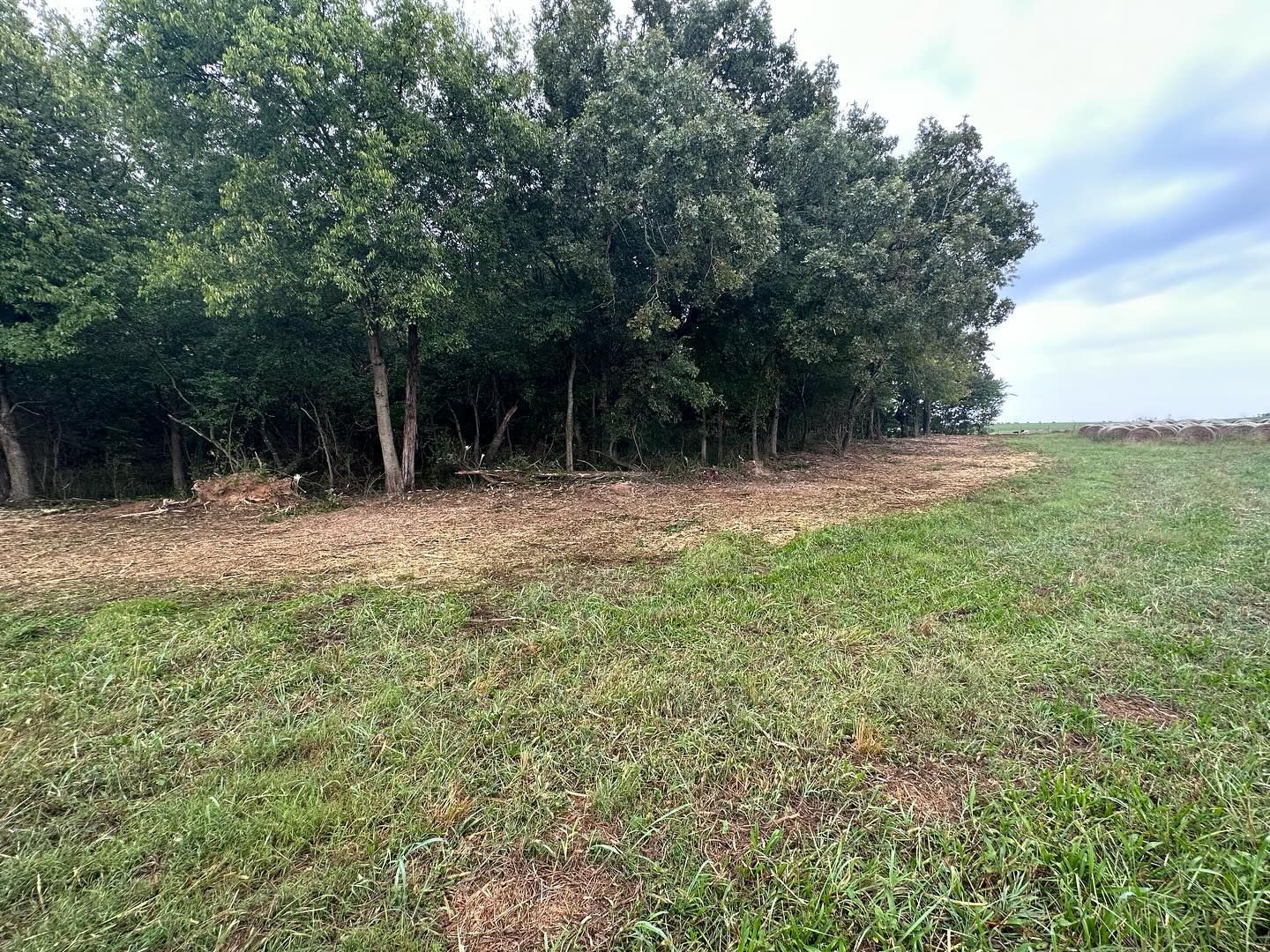 Row of trees bordering a grassy field; cloudy sky overhead.