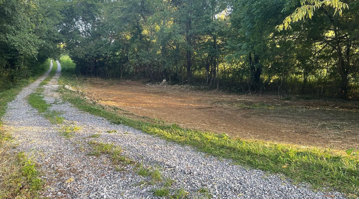Gravel road leads through a grassy area and into a wooded area, with sunlight filtering through the trees.