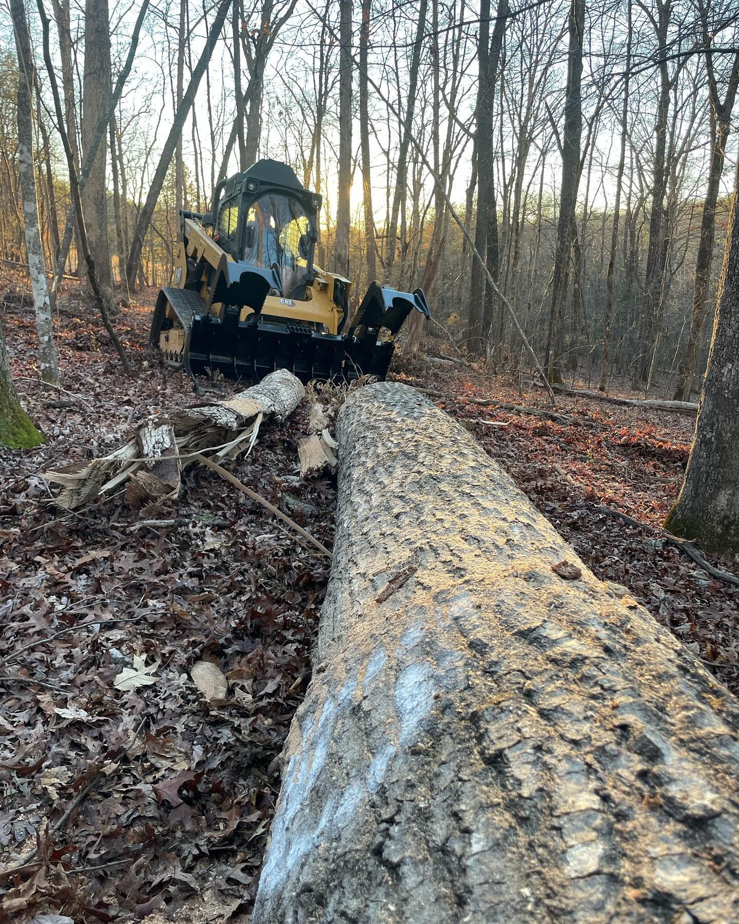 A yellow skid steer tractor pushes a felled tree in a wooded area.