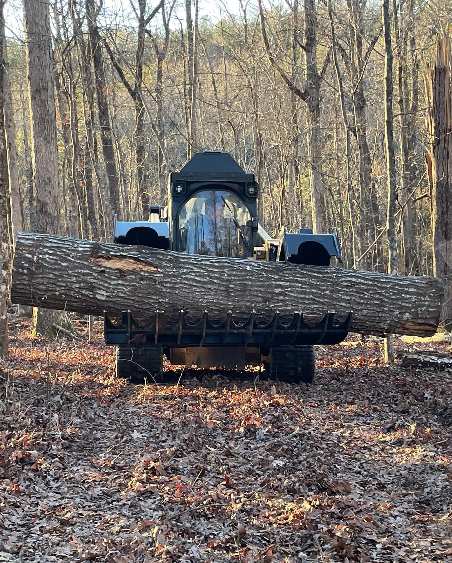 A machine in a forest carries a large log.