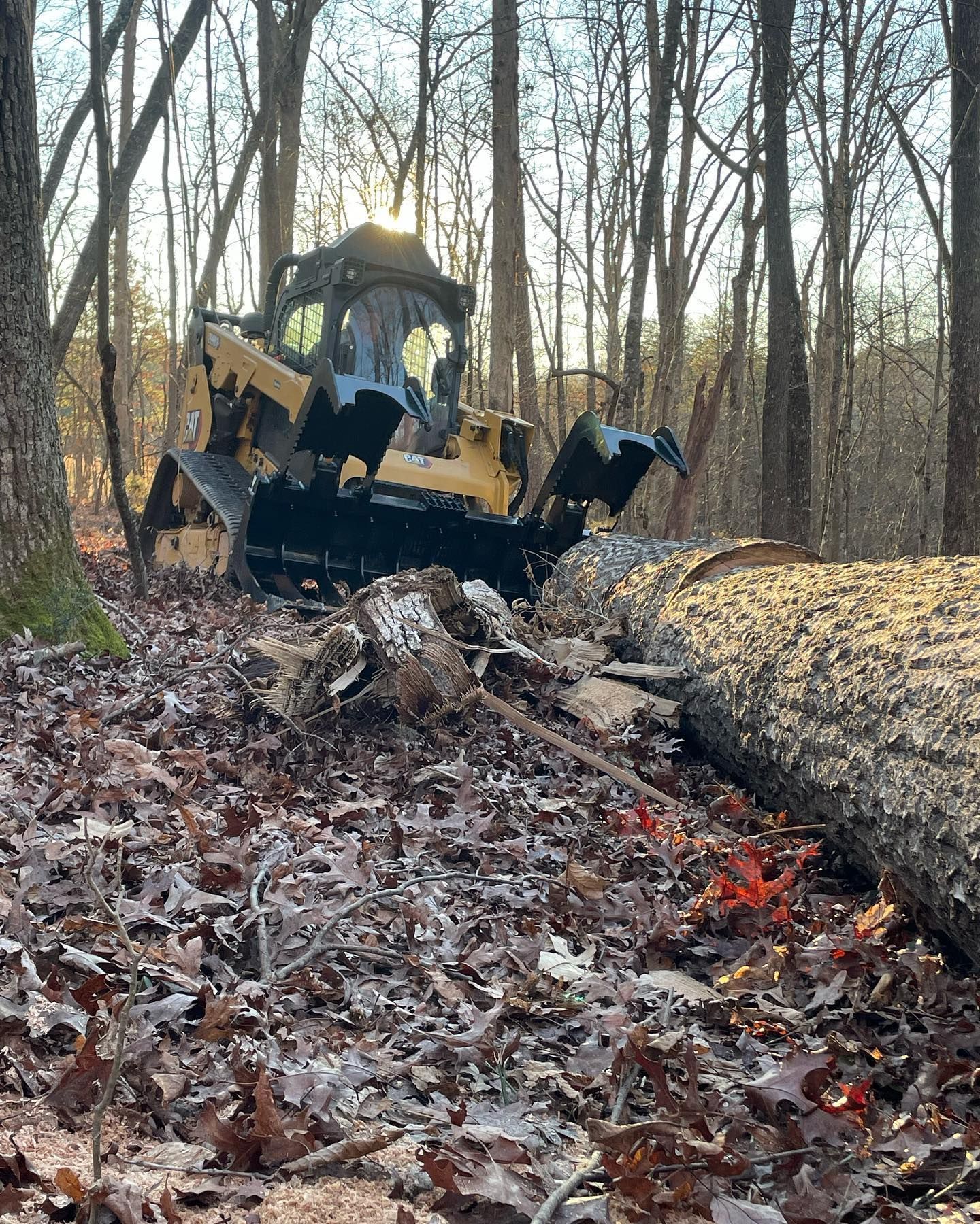 Yellow bulldozer cutting a large log in a forest, leaves on the ground.