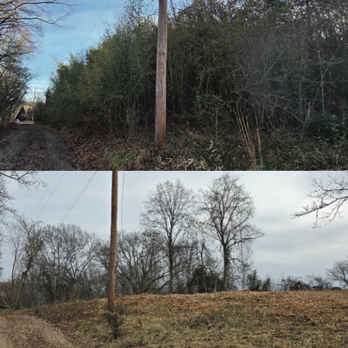 Top: Dirt road flanked by dense evergreen trees and power lines. Bottom: Same area with barren trees and cleared ground.