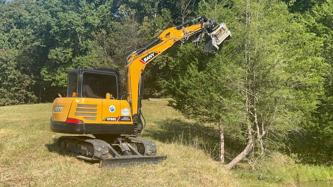 Yellow excavator cutting a tree in a grassy area with trees in the background under a blue sky.