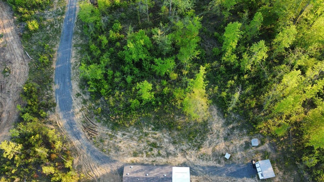 Aerial view of a gravel path winding through lush green trees and a small building.