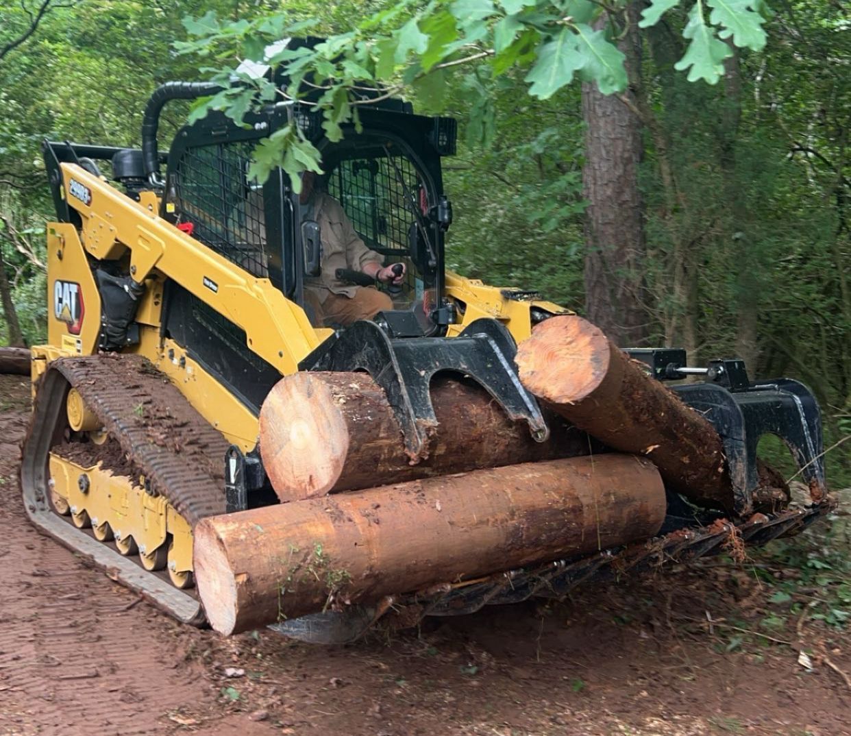 Yellow skid steer with logs in its grapple, in a forest setting.