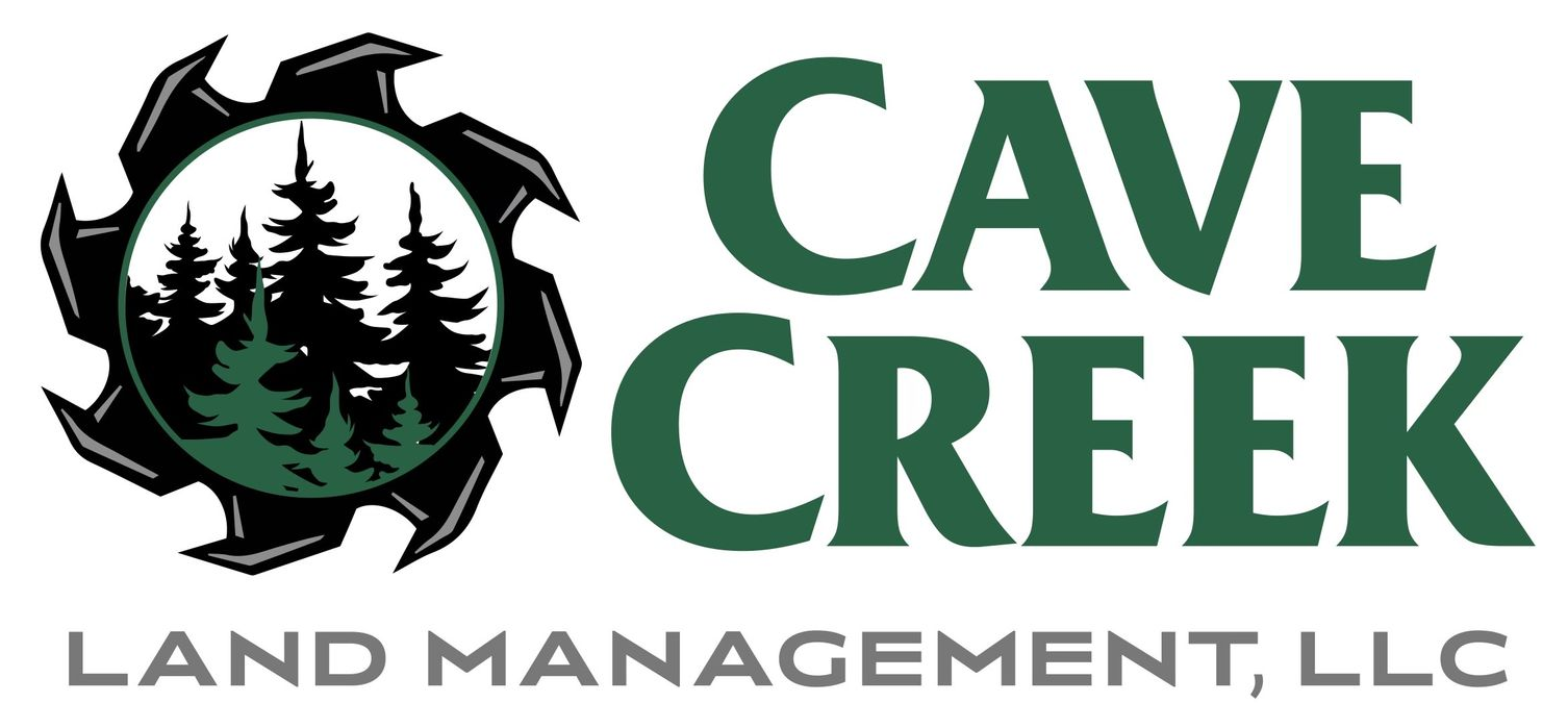 Logo for Cave Creek Land Management, LLC, with a saw blade design, trees, and dark green text.