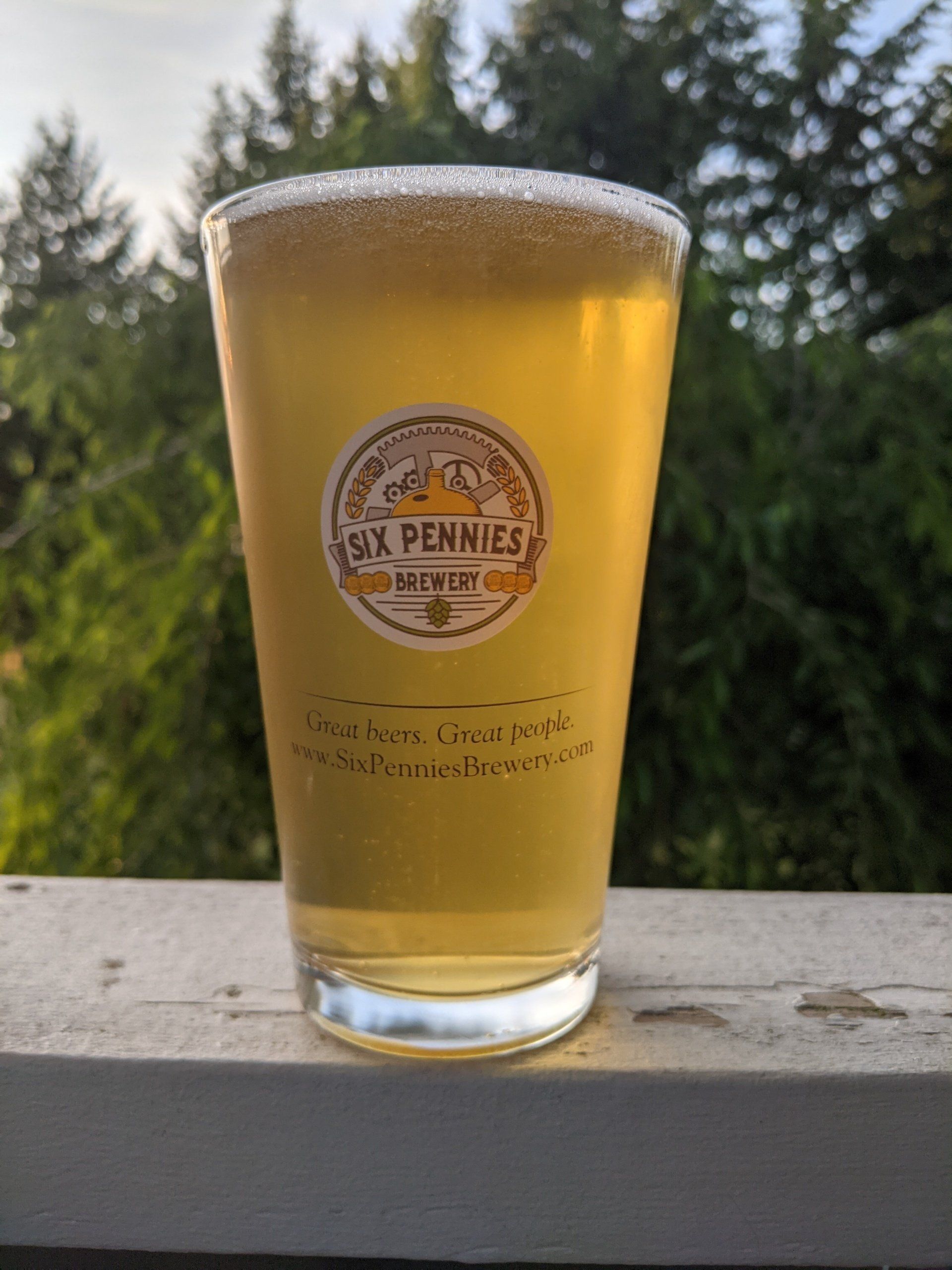 Picture of our Saison/Farmhouse Ale