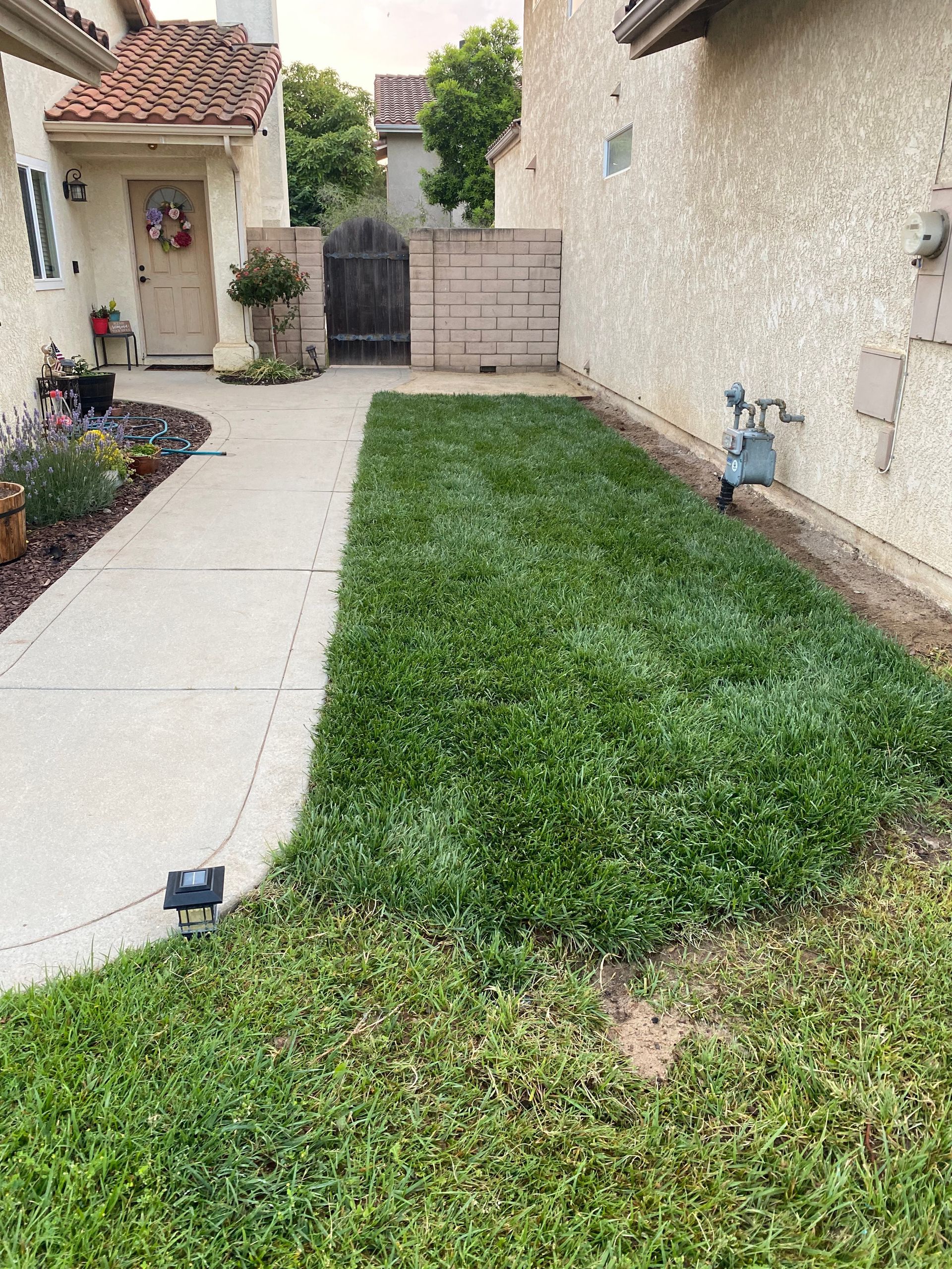 A sidewalk leading to a house with a lush green lawn.