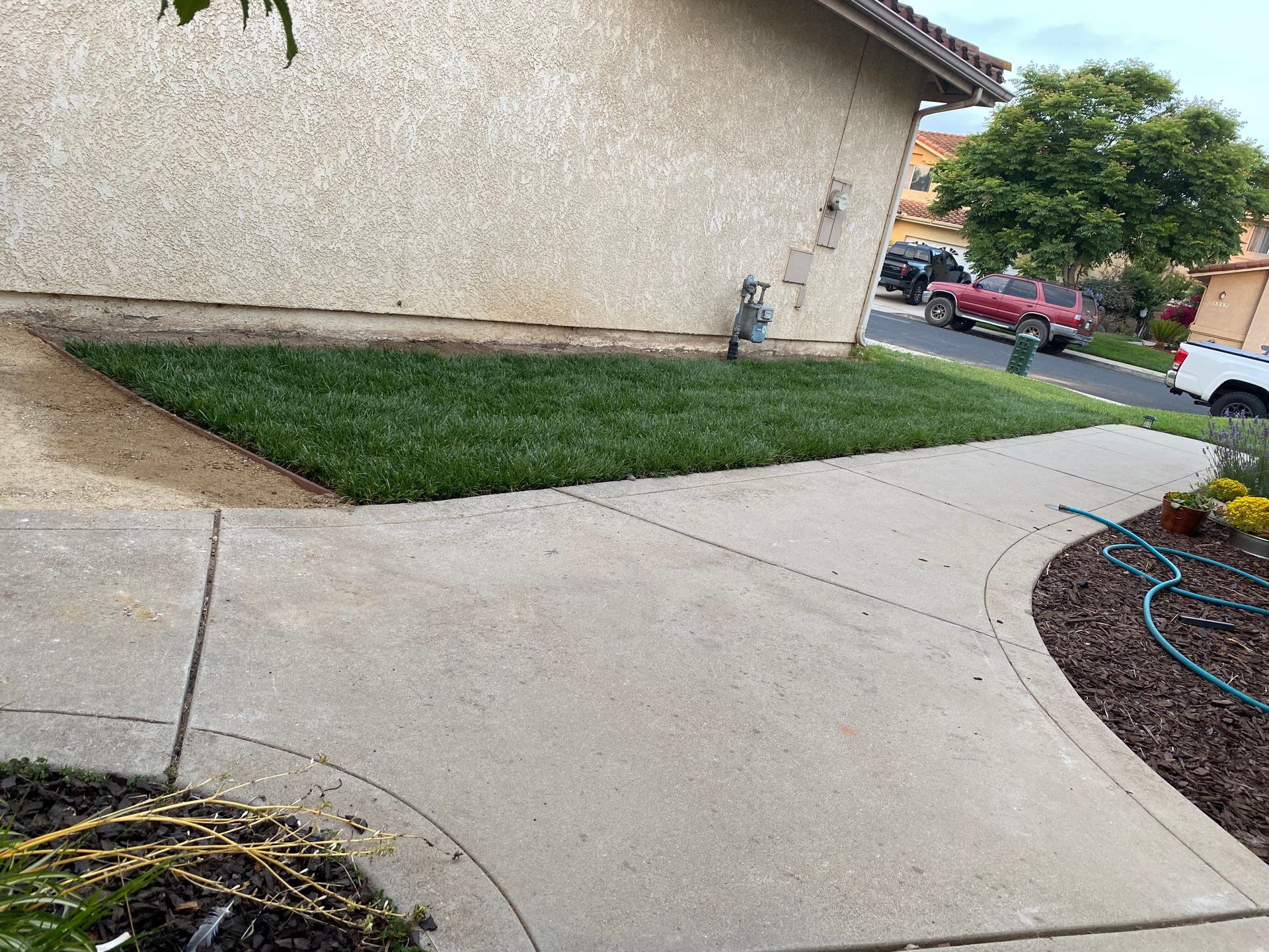 A sidewalk leading to a house with a lawn in front of it.