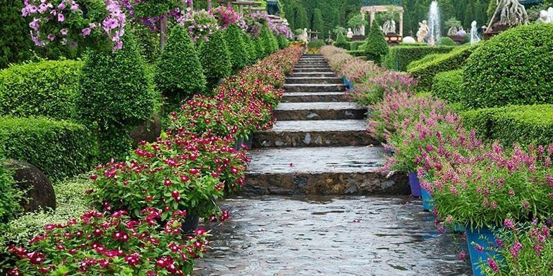A path lined with flowers and bushes in a garden.