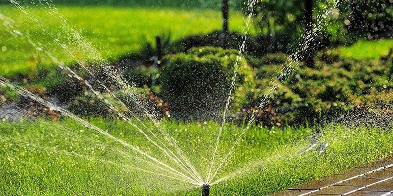 A sprinkler is spraying water on a lush green lawn.