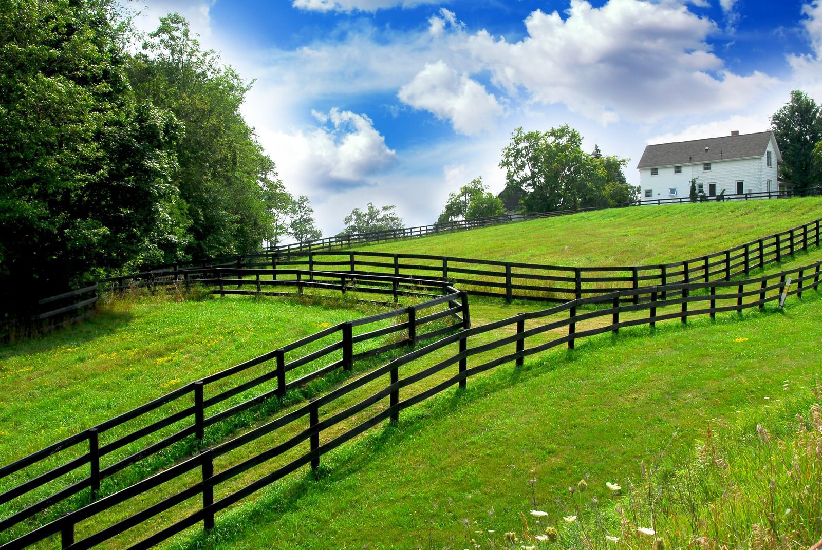 Green hillside with black fence, white house, and blue sky with clouds.