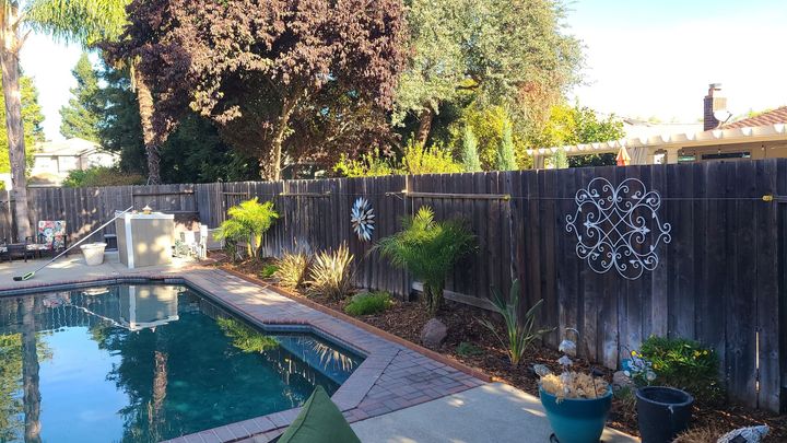 Backyard pool beside a wooden fence, with potted plants and trees in warm sunlight.