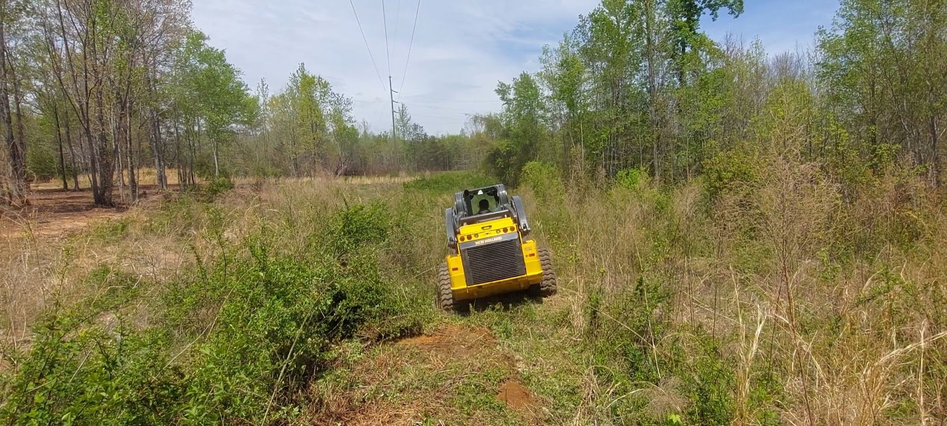 Yellow machine clearing a path through tall grass and brush in a wooded area.