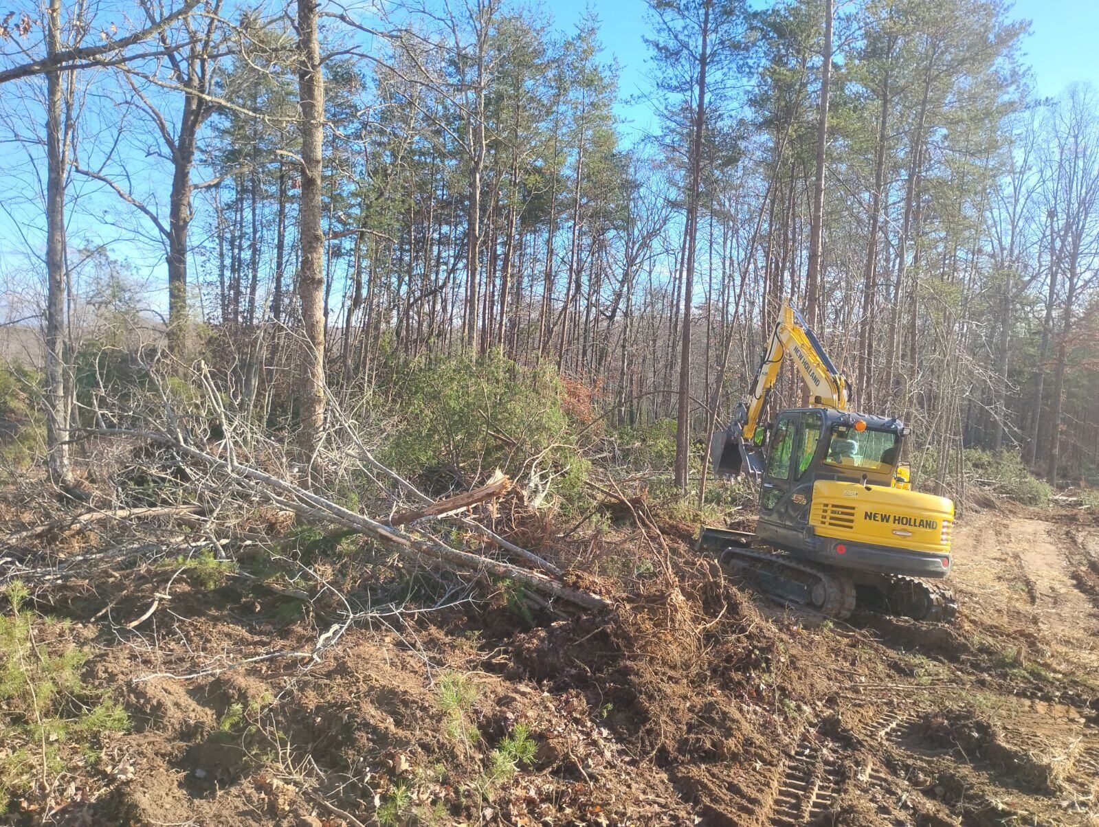 Yellow excavator clearing trees in a wooded area on a sunny day.