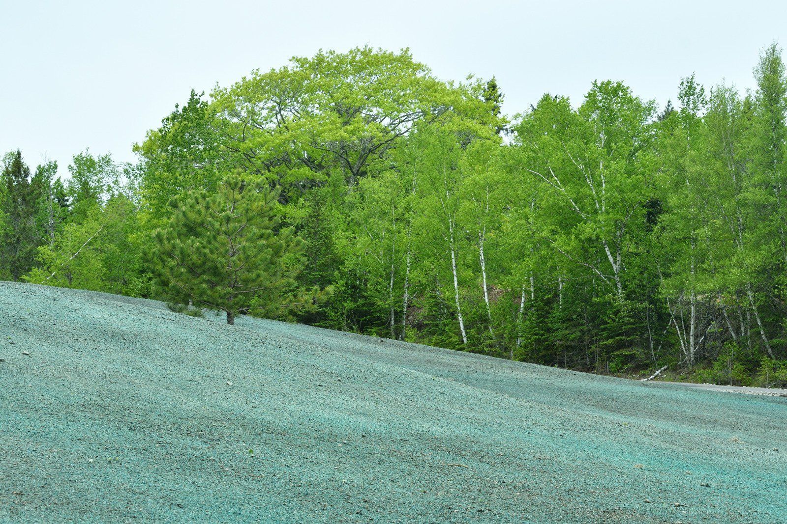 Black honeycomb-like geocell structure covering a hillside, protecting against erosion. Building in background.