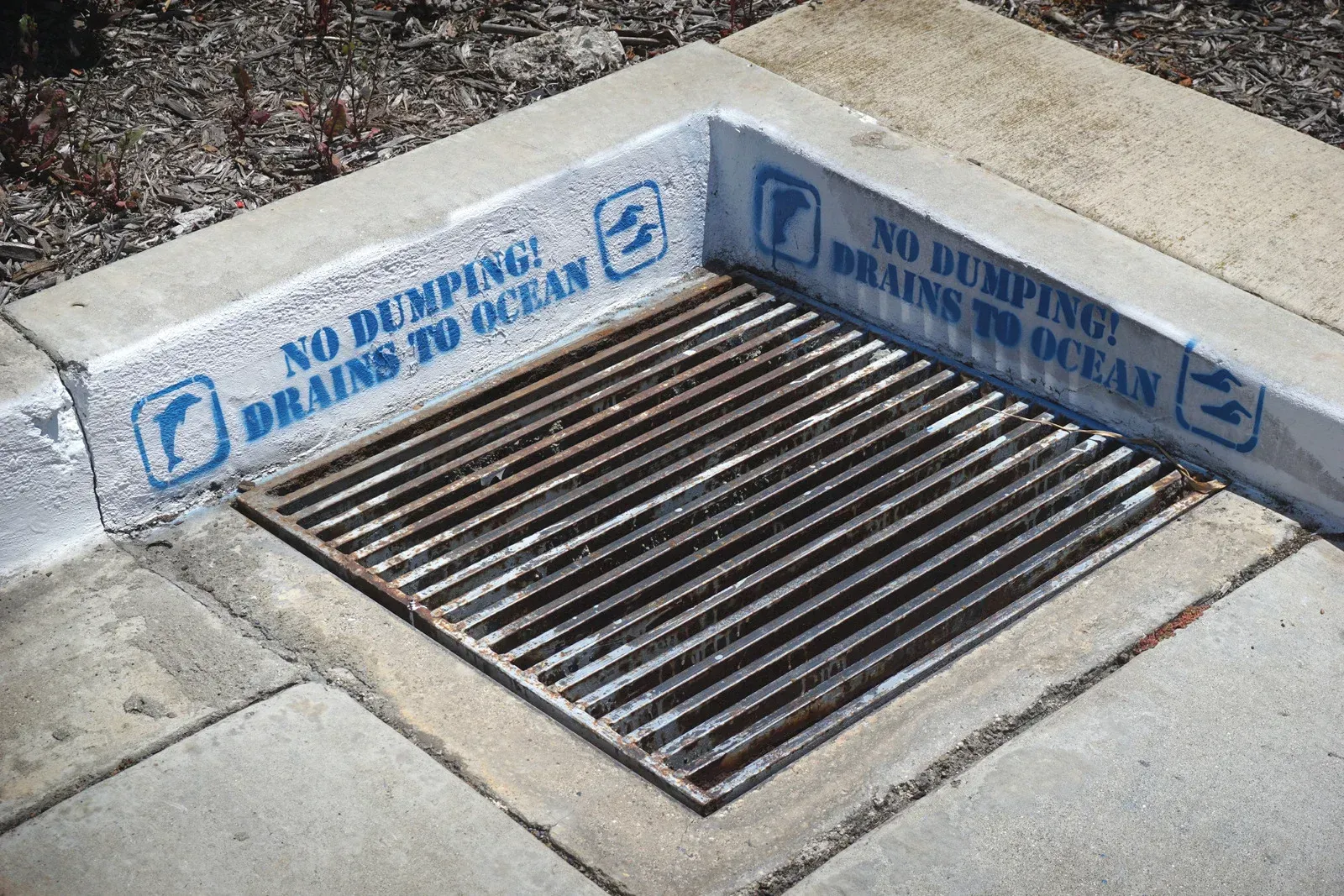 Concrete storm drain with metal grate. Painted message: 