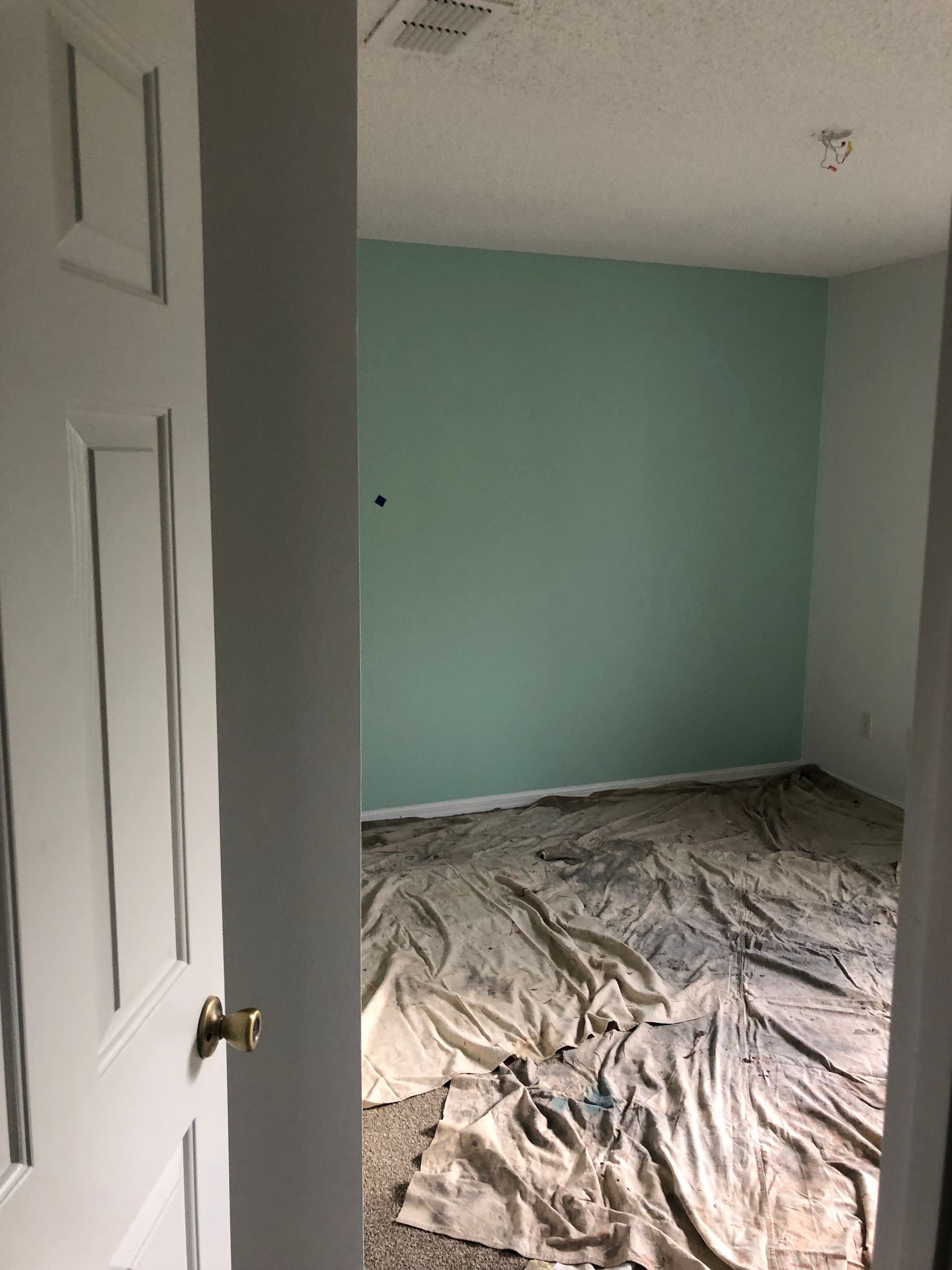 A room with green walls and a white door is being painted.