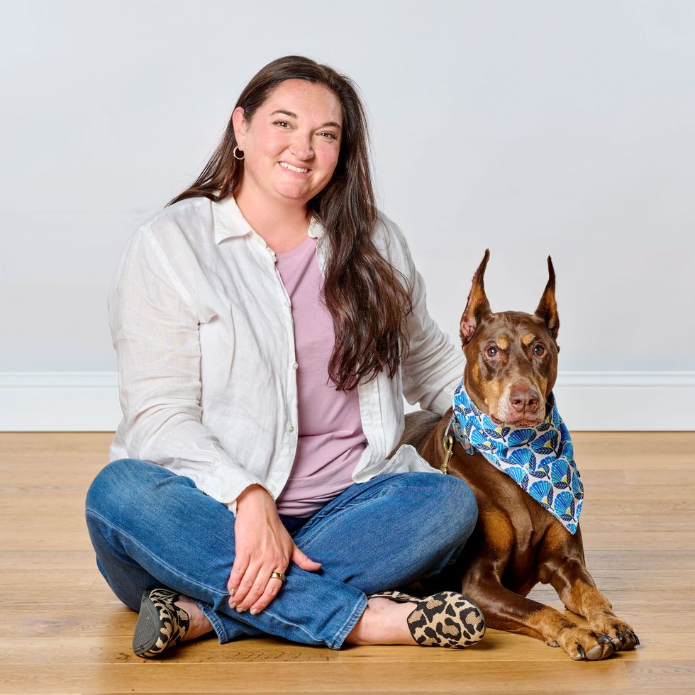 Dog bandana with toys, food, and collar on white background.