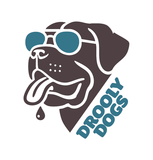 Brown dog wearing blue sunglasses, drooling, 